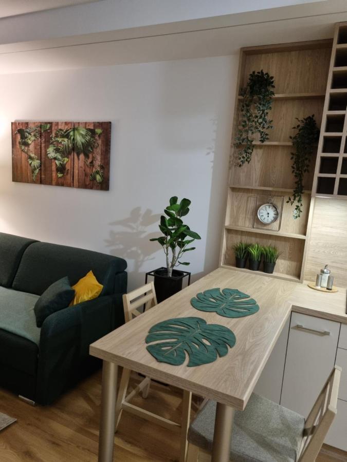 Apartament Sloneczny -Sciegiennego Kielce Kültér fotó